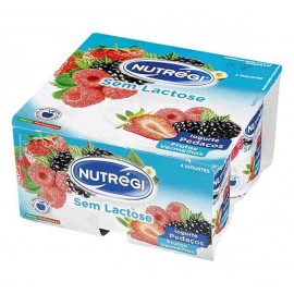 NUTRÉGI Iogurte Pedaços Frutos Vermelhos Sem Lactose 4x120 Grs Cx. 6