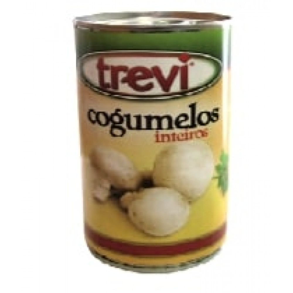TREVI COGUMELOS INTEIROS 355GR CX.12