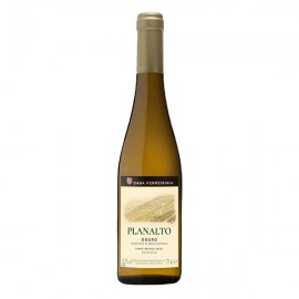 PLANALTO Douro 2019 Vinho Branco Seco 375Ml Cx. 12
